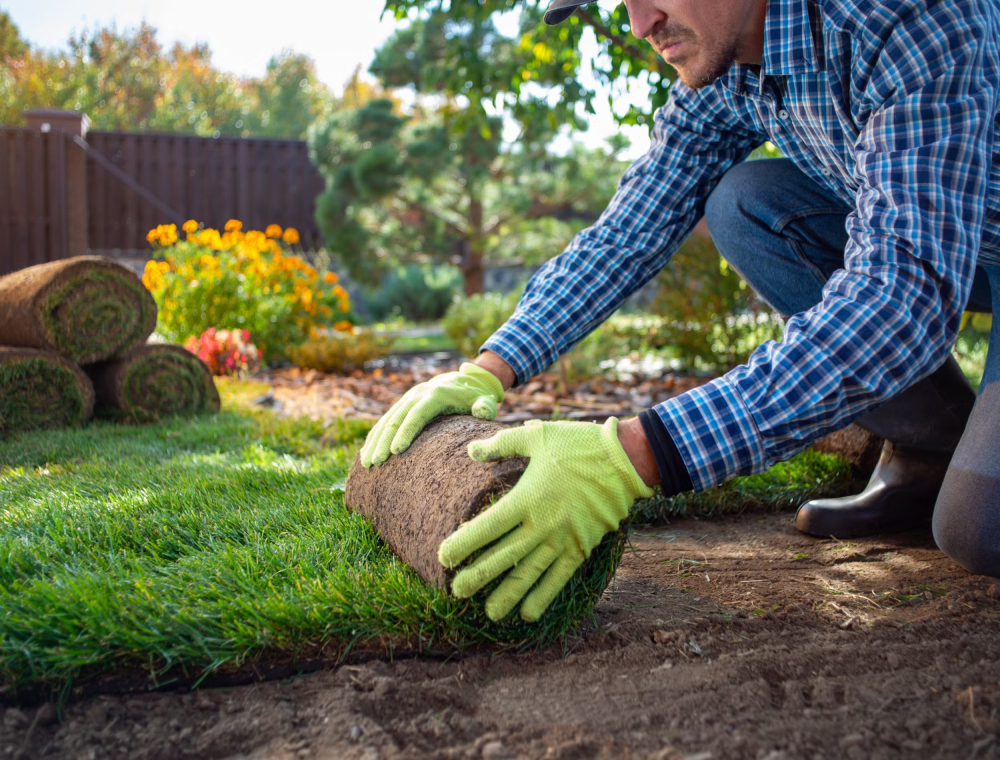 Lawn Installation Services Lawn Installation Services